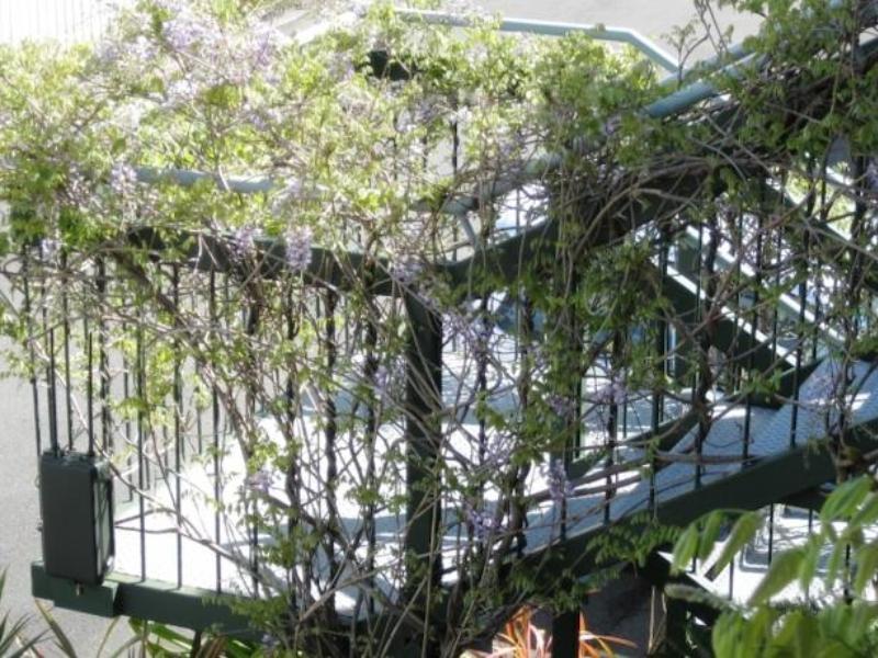 Westport Spa Motel Экстерьер фото